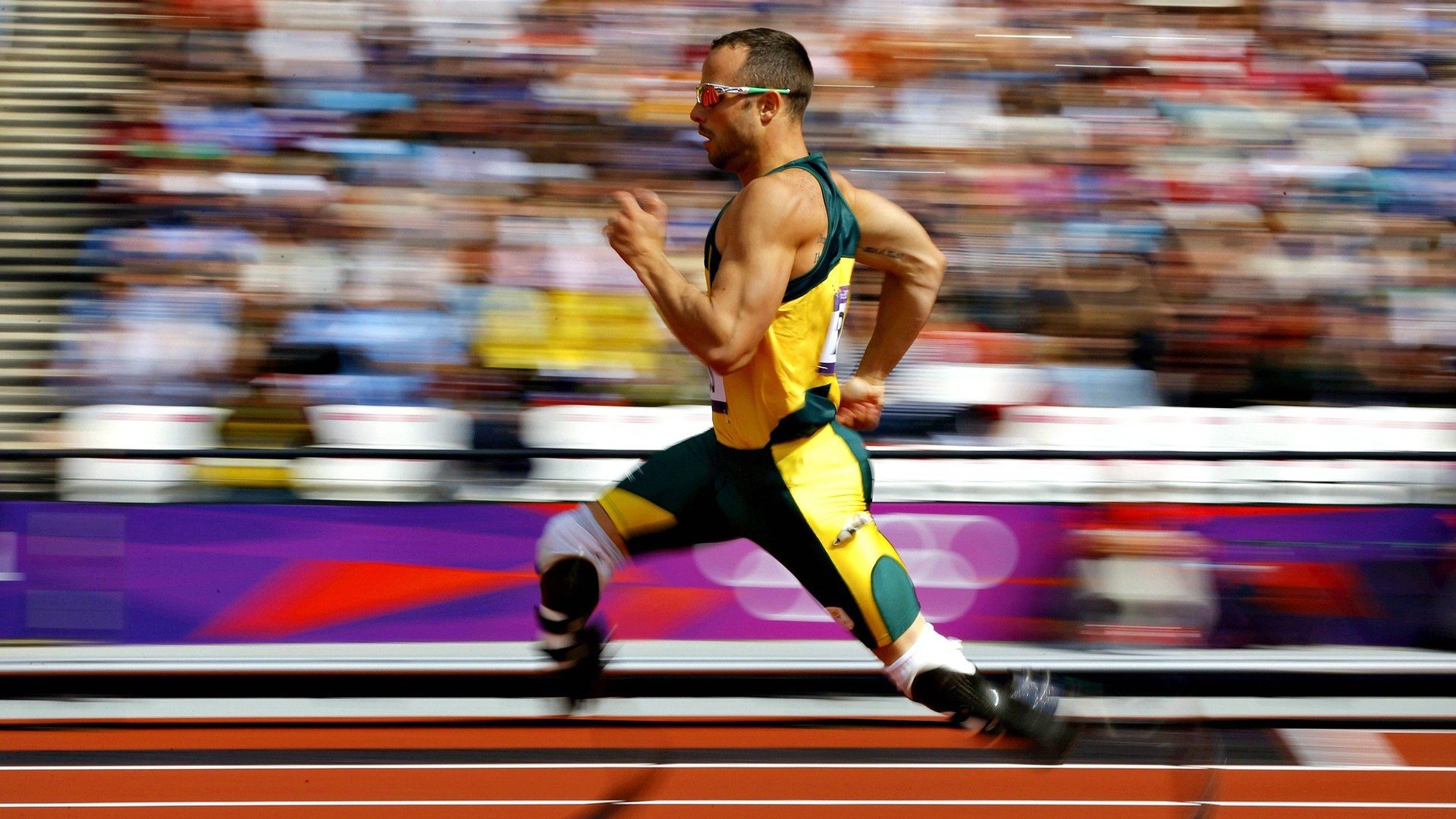 篮球梦让中国体育更加闪耀，篮球梦作文800字高中